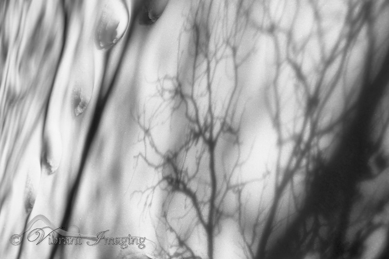 5D3_2881
