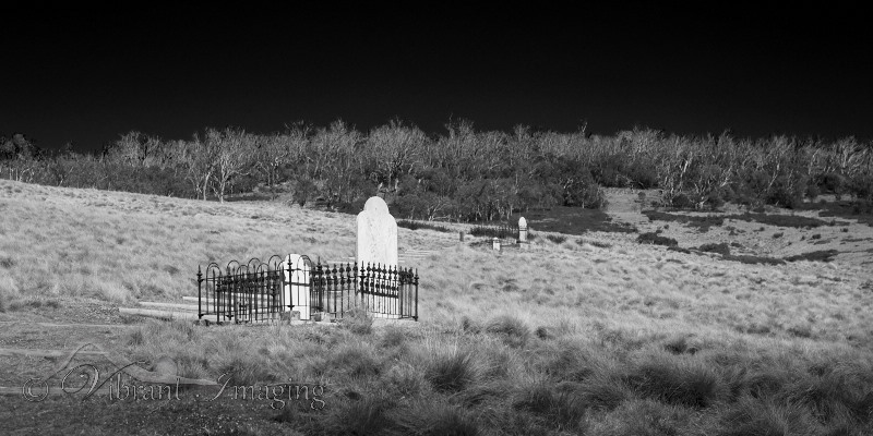 5D3_2914