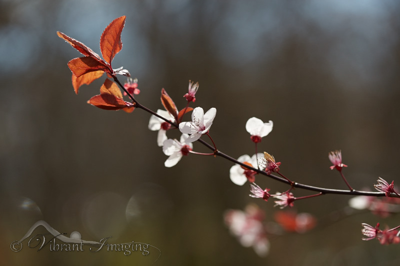 5D3_3027