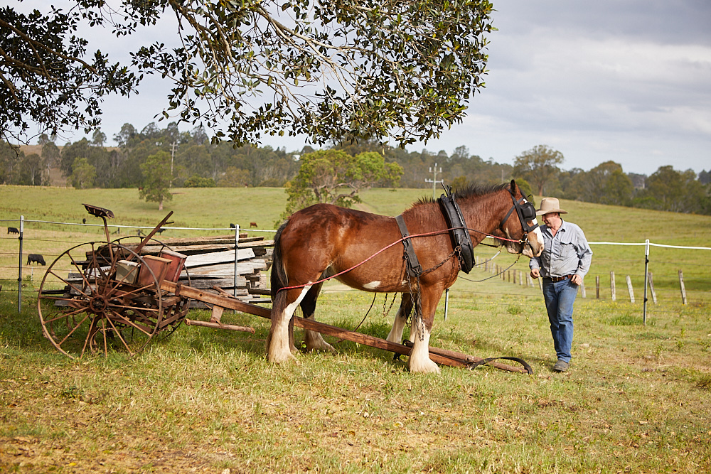 Casino farms_030 1