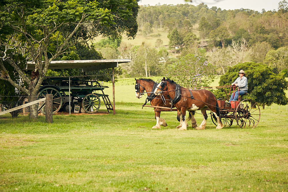 Casino farms_054 1